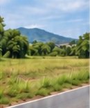 ที่ดินขาย